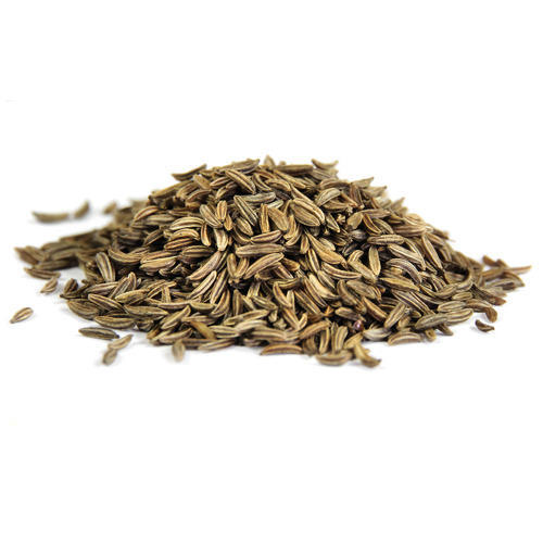 Fennel Seed