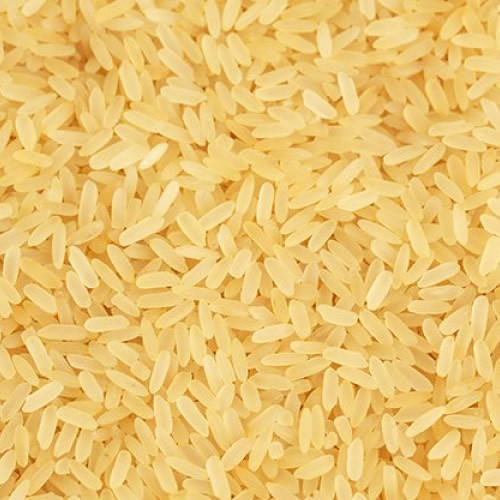Surekha Rice
