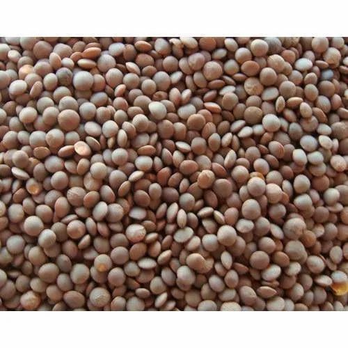 Sabut Masoor Dal