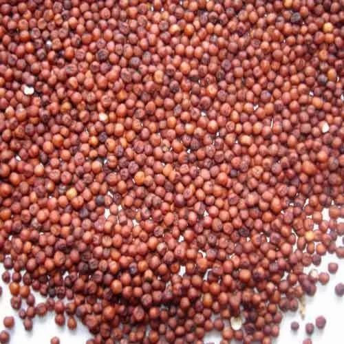 Ragi