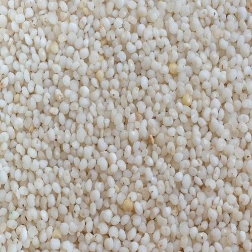 Kodo Millet