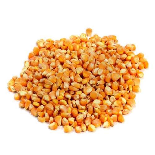 Raw Maize