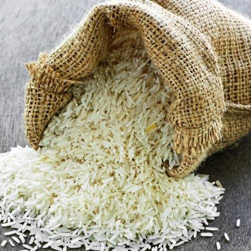 Pusa Rice