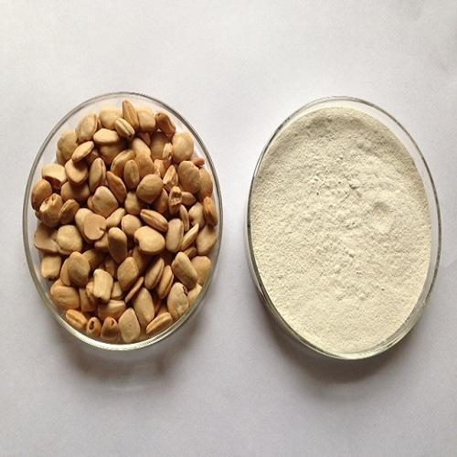Tamarind Kernel Powder