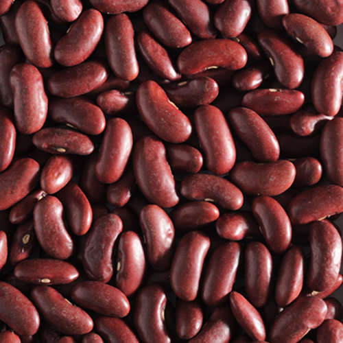 Red Rajma
