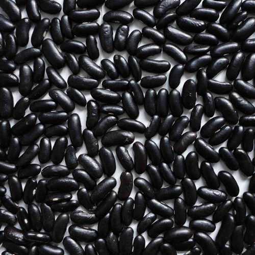 Black Kidney Bean