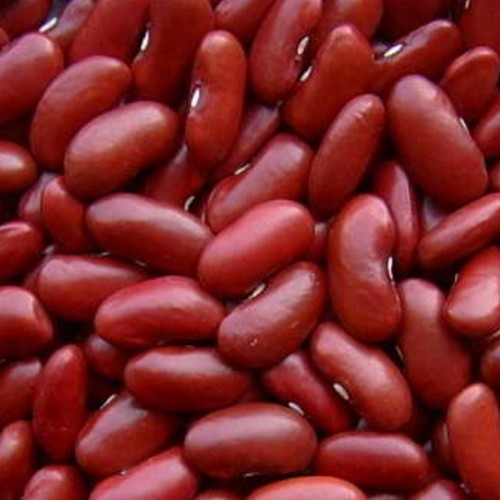 Rajma Sharmili