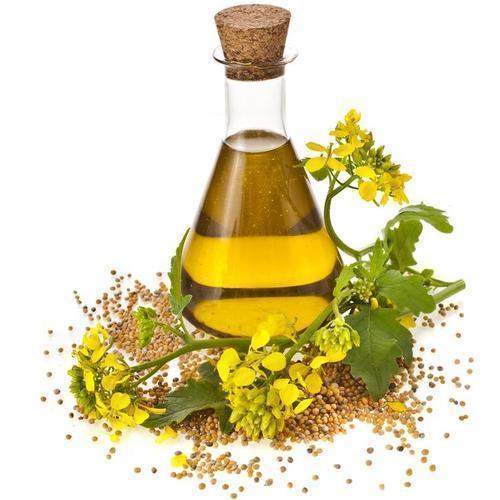 Nirgundi Oil