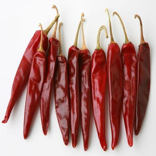 Indian Red Chilli