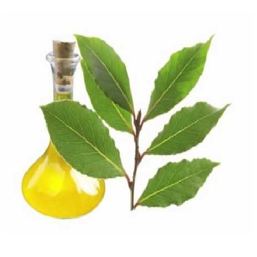 Bay Leaf Oils