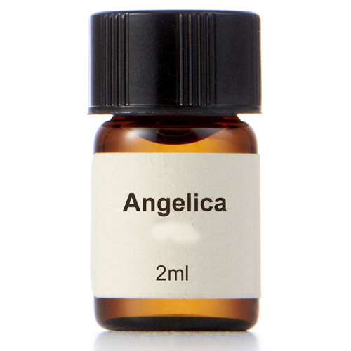 Angelica Oil