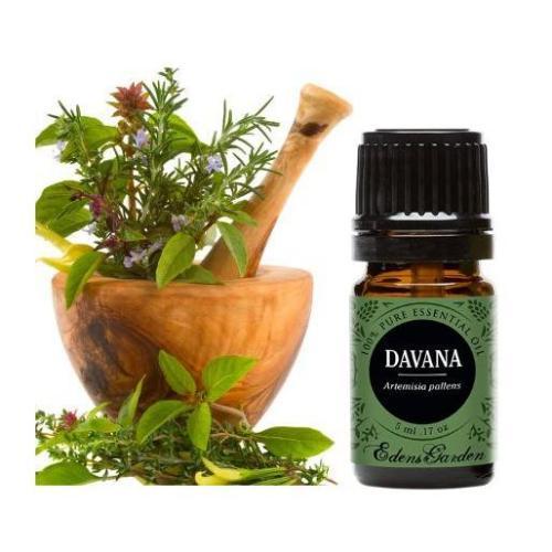 Davana Oil