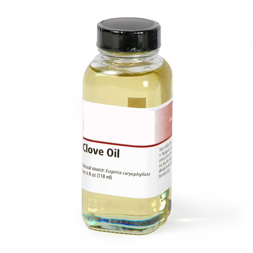 Crude Clove Leaf Oil