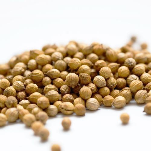 Organic Coriander Seed