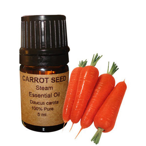 Carrot Seed Oil