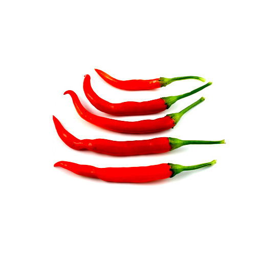 Oleoresin Capsicum
