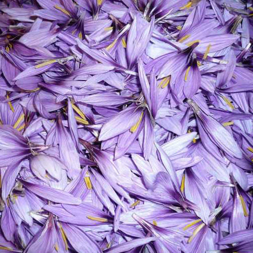Saffron Petals