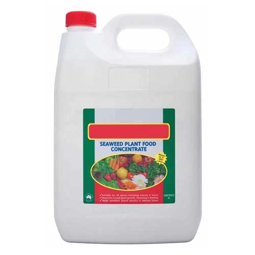 Food Concentrate