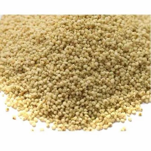 Organic Kodo Millet