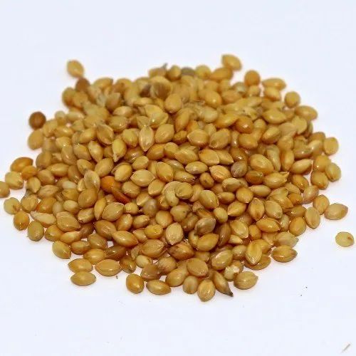 Organic Foxtail Millet