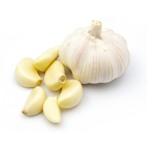 Organic Garlic