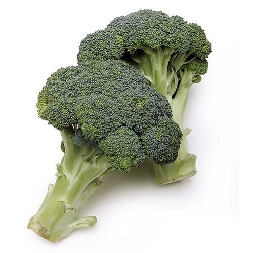 Organic Broccoli