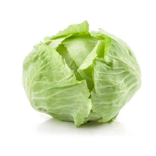 Organic Cabbage