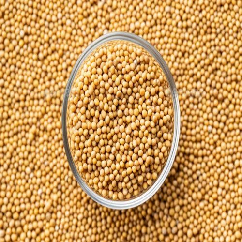 Yellow Mustard Seed