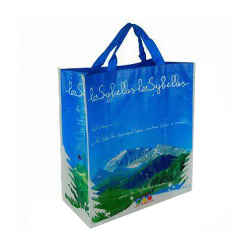PP Non Woven Carry Bag