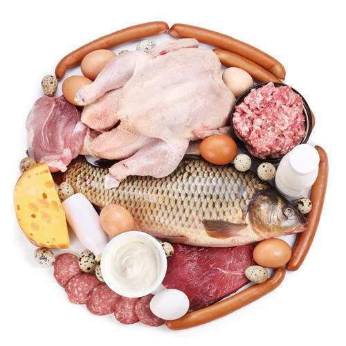 High Protein Food