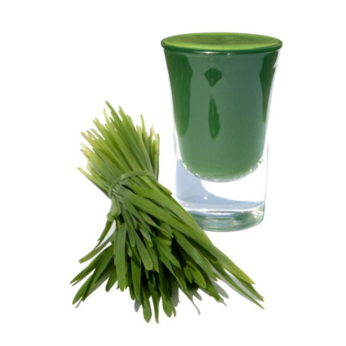 Wheatgrass