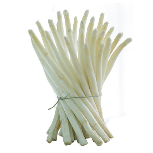 White Asparagus