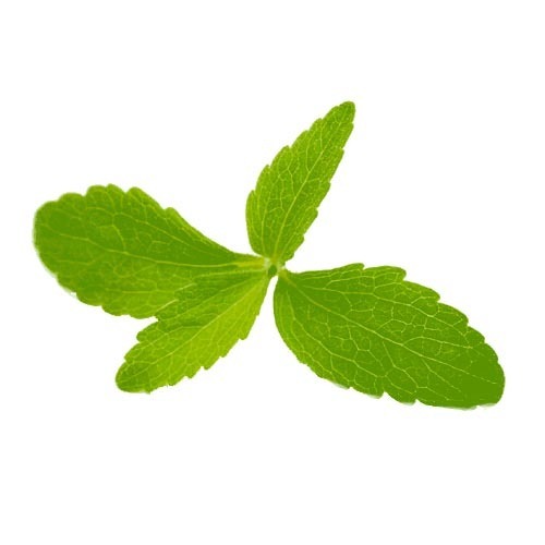 Stevia Leaf