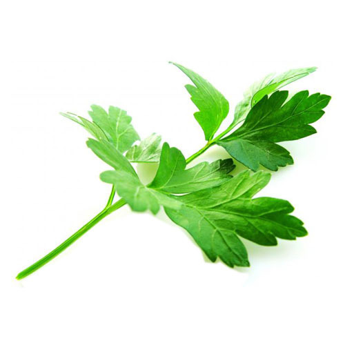 Parsley Leaves