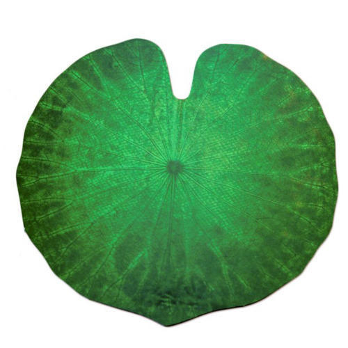 Lotus Leaf