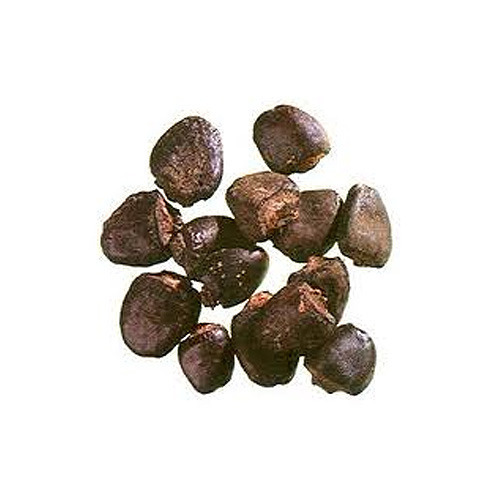 Bhilawa Seeds