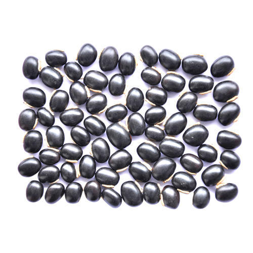 Mucuna Pruriens Seed