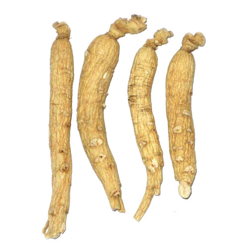 Ginseng Roots