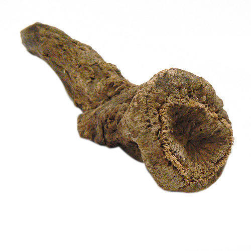 Costus Root