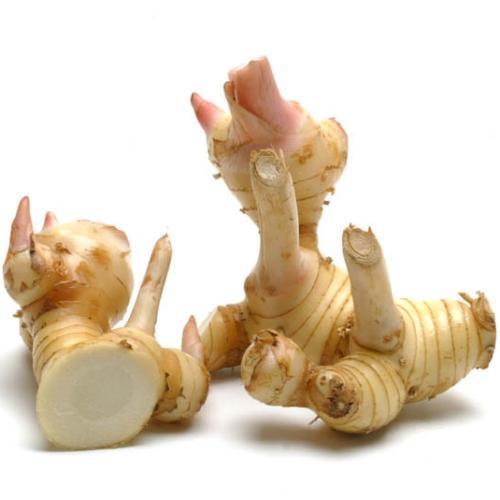 Galangal Root