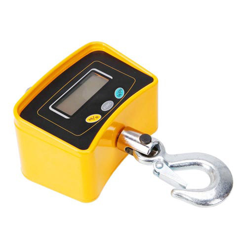 Electronic Crane Scale