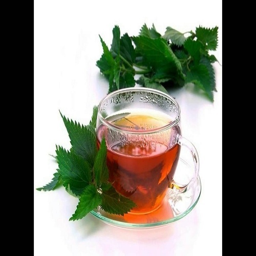 Nettle Tea