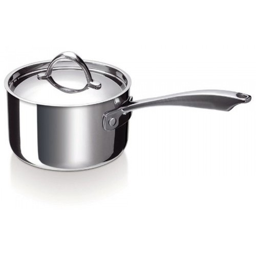 Stainless Steel Saucepan