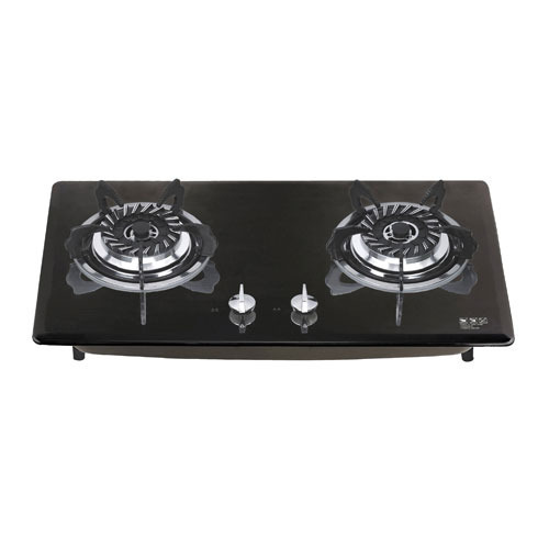 Electric Gas Stove