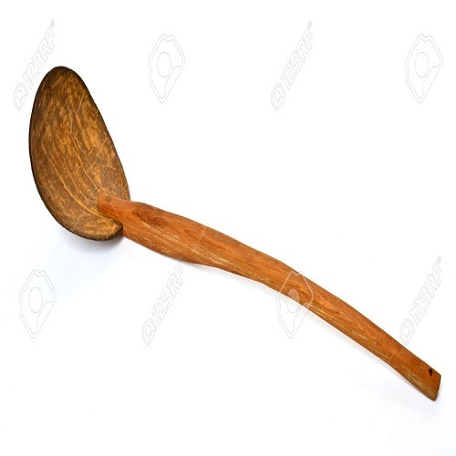 Coconut Shell Spoon