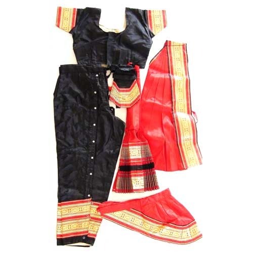 Bharatanatyam Costume