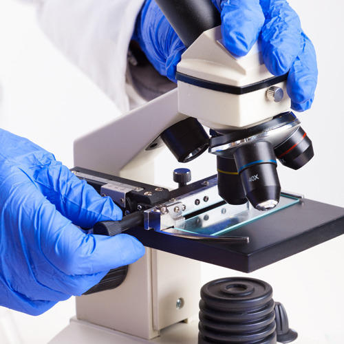 Research Development Services