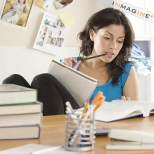 Essay Writing Services