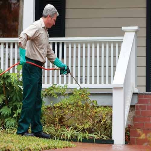 Household Pest Control