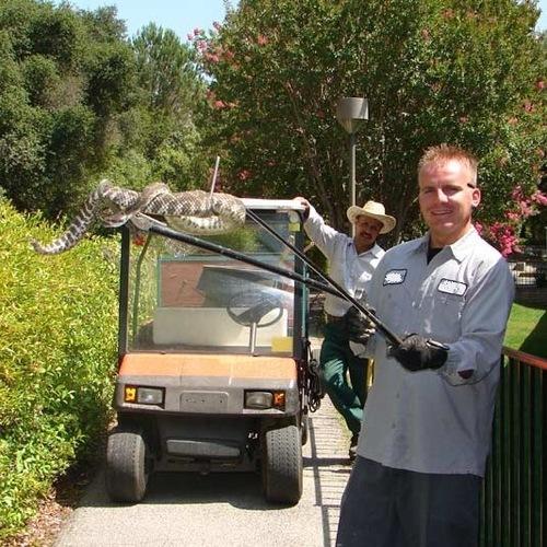 Snake Control Service